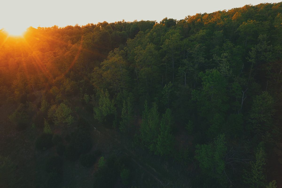 3,000 Trees for Community and Residents