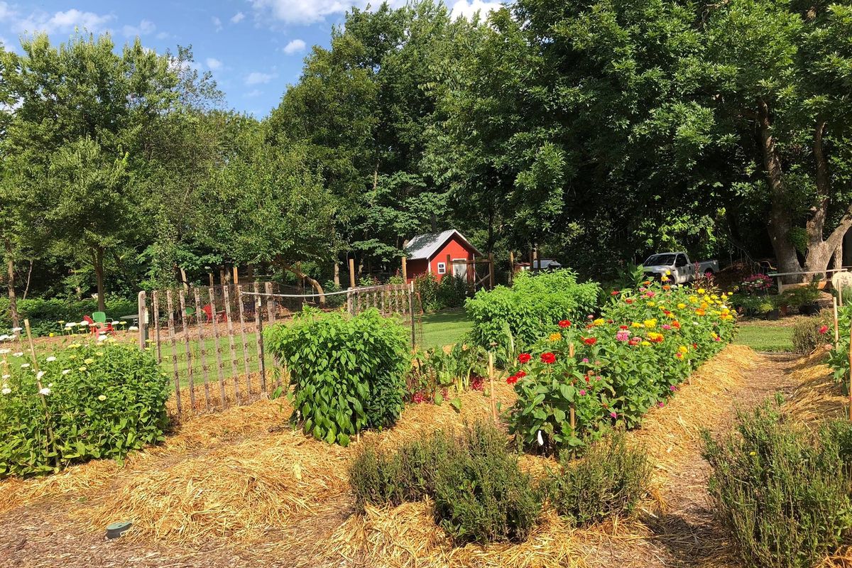 Northwest Arkansas: Growing Community, One Garden at a Time