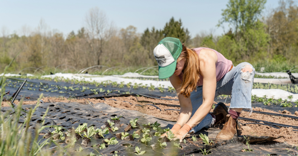 farmer