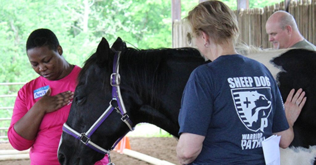 horsemanship nwa